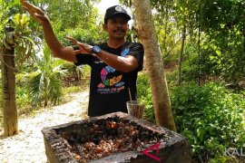 Warga Kukar Sukses Ternak Lebah Trigona