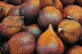 BK Denpasar permudah sertifikasi ekspor salak Bali ke luar negeri