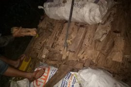 Polisi amankan 20 ton gaharu Kapuas hulu