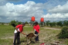 Bumdes Selinsing sulap bekas tambang jadi angrowisata