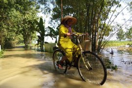 Air Bengawan Solo di Hilir Jatim Naik