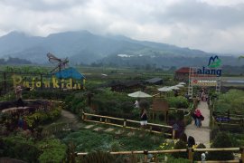 Rangkul Warga, Desa Wisata Pujon Kidul Gerakkan Ekonomi Kerakyatan