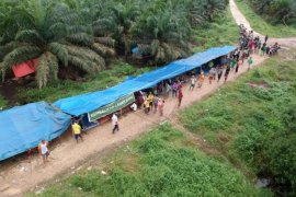 Konflik lahan antara warga dengan perusahaan perkebunan sawit