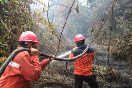 Manggala Agni Berjibaku Lawan Karhutla Rohil Page 2 Small