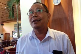 PLN lakukan program "Galang Kangin Jagaditha"
