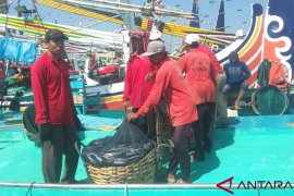 Predator ikan muncul, nelayan Jembrana kembali paceklik