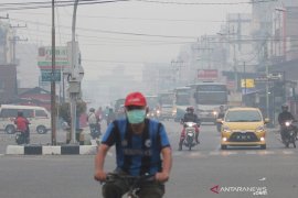 Walhi: Nihil Capres Berikan "Angin Segar" untuk Keadilan Ekologis