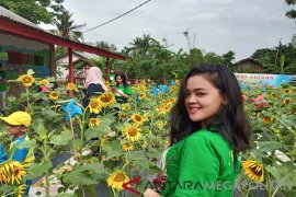 "Taman Bunga Matahari" objek wisata baru di Bekasi