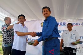 PT Timah susun master plan reklamasi tambang