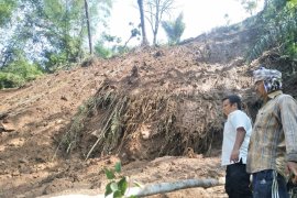 40 hektare persawahan di Agam terancam kekeringan