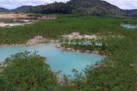 Babel gandeng Jerman reklamasi bekas tambang