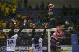 Jungkalkan Jakarta Pertamina, Putri PGN Popsivo Juarai Proliga 2019