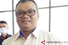 Masa konstruksi pabrik NPK PT PIM butuh 800 tenaga kerja