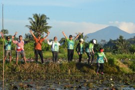 Pemkot Denpasar-Komunitas Hash gelar "Jalan Santai Go Green" susuri persawahan