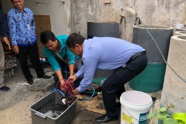 Yogyakarta siapkan pendampingan pengolahan lele