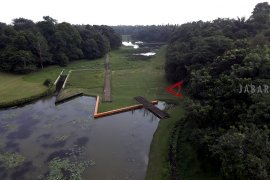 Kebun raya Cibinong