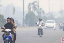Thousand of Riau residents suffer respiratory problems due to haze