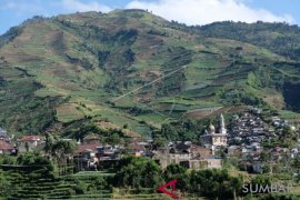 LAHAN KRITIS DI KAWASAN DIENG