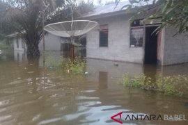 Puluhan rumah terendam di dua desa