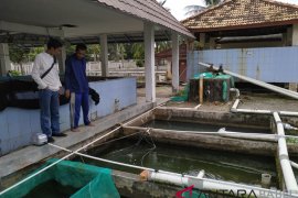 UPTBBI Bangka optimis capai target PAD 2019