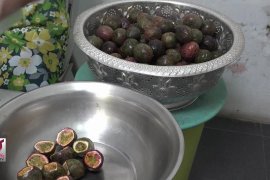 Sirop Markisa Noerlen Khas Sumatera Utara
