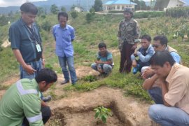 Petani Tungkonisolu dan Matio apresiasi program "intercrop" TPL