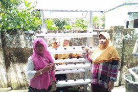Sidoarjo Positif Kembali Latih Warga Kalidawir Hidroponik