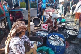 Harga ikan basah di Sibolga normal saat Imlek