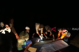 Petani Hilang di Waduk PLTA Koto Panjang Ditemukan Tewas