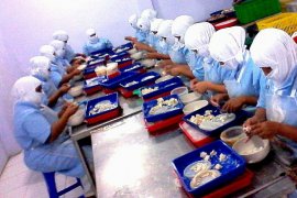 Nelayan Probolinggo Keluhkan Turunnya Permintaan Kepiting Rajungan