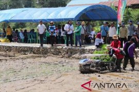 Bimtek Mekanisasi Tanam Padi di Samboja