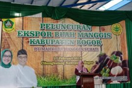 Manggis Bogor kini mendunia