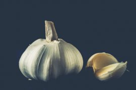 Peneliti kemukakan 9.600 tanaman di Indonesia teridentifikasi tanaman obat