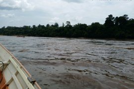 Kapal penarik tongkang terbalik di Sungai Barito, 1 ABK hilang