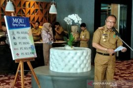 Pemprov Sulsel upayakan "holding company" BUMD