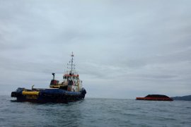 Tongkang batu bara terdampar di Pantai Pasirian Lumajang