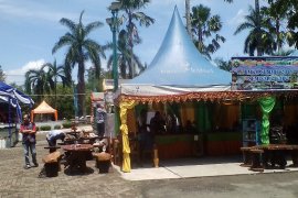 Expo Apindo 2019 Kalsel diikuti UMKM pulau Jawa