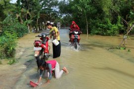 BPBD Bojonegoro laporkan tanggul kritis di Kanor