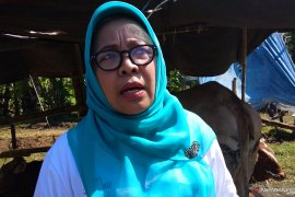 Dinas Peternakan Jatim Berikan layanan kesehatan gratis bagi hewan ternak