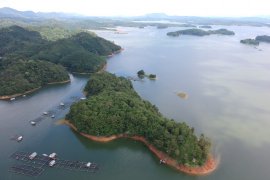 Pulau rusa destinasi wisata alam baru Kalsel