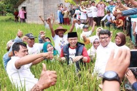 TKN optimistis petani Indramayu pilih Jokowi-Amin di Pilpres 2019