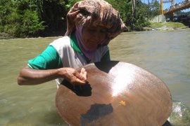 Mendulang Emas Menjadi Sumber Ekonomi Warga Sikundo