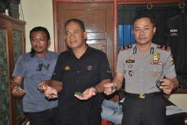 Polisi amankan 2.227 ekor kura-kura moncong babi dari Asmat
