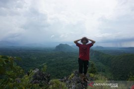 Walhi dukung perlindungan menyeluruh kawasan Meratus Kalsel