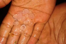 Rabu malam, Nagari Simawang diguyur hujan es