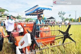 Bupati Bogor Siapkan Tiga Kecamatan untuk Swasembada Pangan
