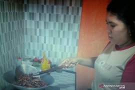 Usaha camilan belalang goreng, ibu RT di Situbondo hasilkan omzet belasan juta (Video)