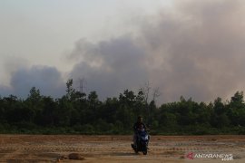 Kebakaran terjadi pada lahan gambut yang sedang dipulihkan