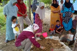 Wanita Tani di HST kembangkan pertanian organik