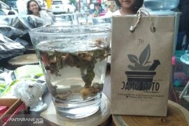 Jamu kito, produk herbal dari Bengkulu